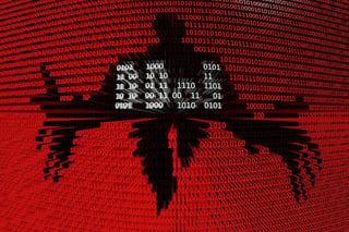 Is Your Company Prepared for a DDoS Attack