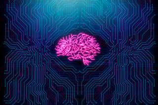 Digital rectangle brain