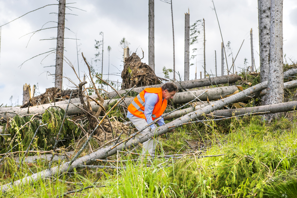 Dynamic Risk Assessment: Why Traditional Risk Analysis Isn't Enough