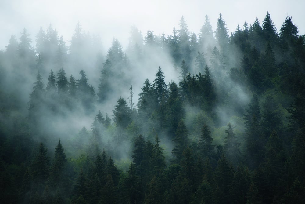 The State of Fog Computing