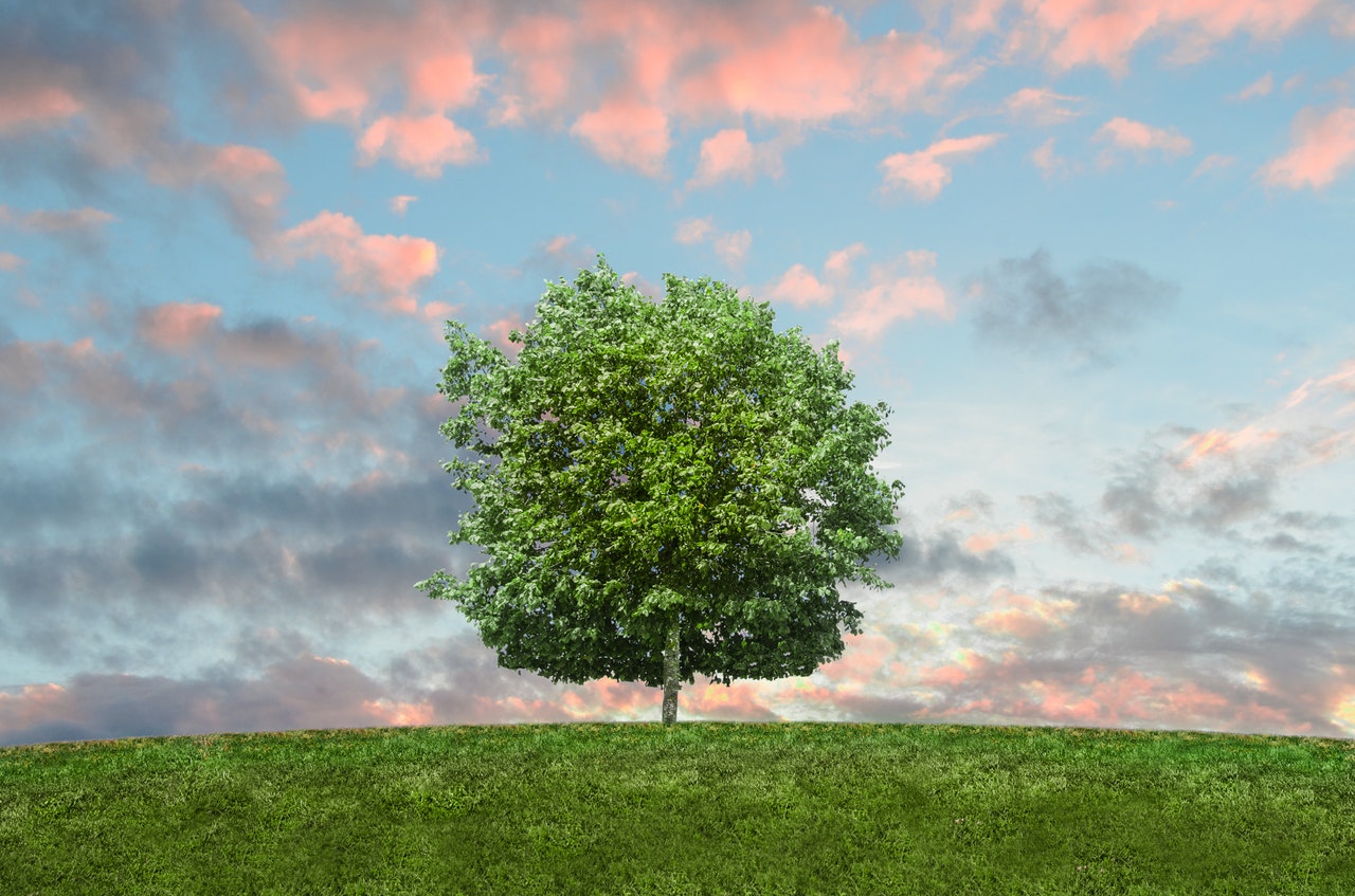 Going Green: Tips and Tricks for a More Sustainable Network